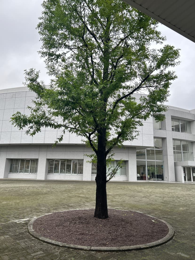 執行委員会会計局_水曜日3限_A班